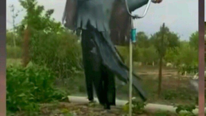 janji gk janck pristel