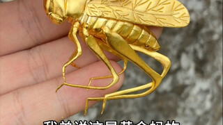 原来这就是抓蚂蚱的快乐