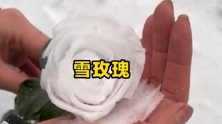 这个在南方可能玩不了吧。。。