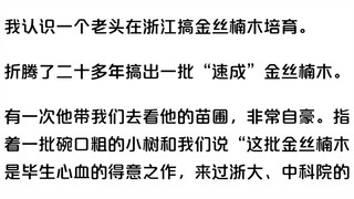 一颗金丝楠木能卖到上亿，树苗一株才10元左右，为什么没人肯种？