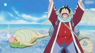 Sekian lama perpisah akhirnya bertemu lagi antara guru dan murid (One Piece)