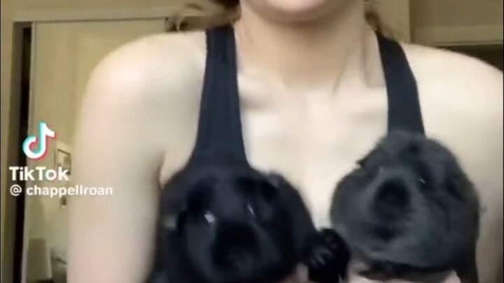 【Chappell Roan】A Collection of Retro Western-style TikTok Shorts by the Power Strip Lady