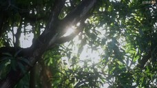 [ENGSUB] YOUR APPLE (2025) EP.12