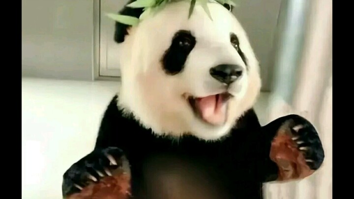 Nhìn thấy Phi Vân vui vẻ, cuộc sống cũng bừng sáng lên biết bao~