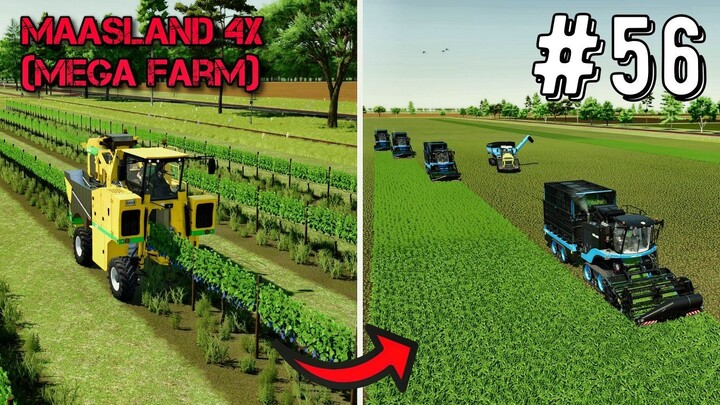 farming Simulator 25 Maasland Map 4X (Mega Farm)  Timelapse Ep #56 ls Farm  fs25 gameplay