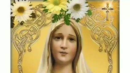 Happy sunday