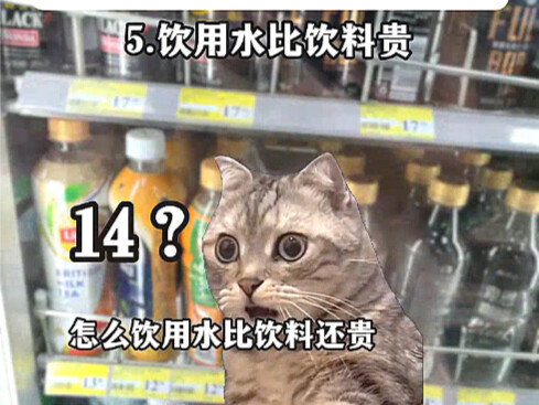 Shocking Things for Mainland Chinese Visiting Hong Kong