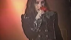 AMADEUS - live present videos 2001
