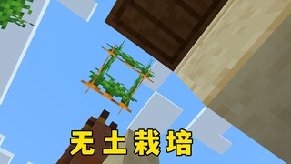 我的世界：三个离谱种子，胡萝卜还能无土栽培了？