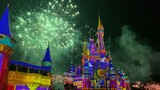 Walt Disney World Cast Service Celebration Fireworks