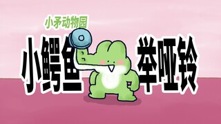 【小矛动物园】小鳄鱼经常举哑铃，保持身材是很重要的。