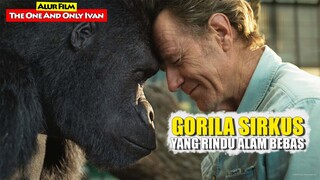 Kisah Gorila Yang Berjuang Untuk Bebas Dari Kandang Sirkus | Alur Cerita Film THE ONE AND ONLY IVAN