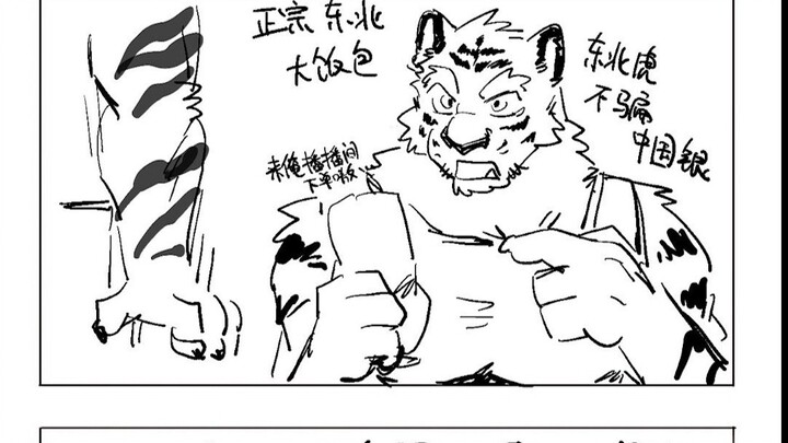 东北虎被表白