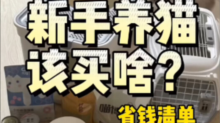 Người mới nuôi mèo nên mua những gì?