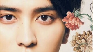 อาจารย์ ฉันควรทำอย่างไรถ้าโทมัสของฉันเอาแต่ส่งเสียงร้องหาจิงเฟยไค!