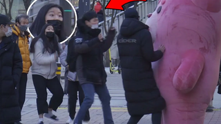 คนเกาหลีไม่มีความคิดที่หมียักษ์จะเคลื่อนไหว หมีสีชมพูยักษ์ Prank