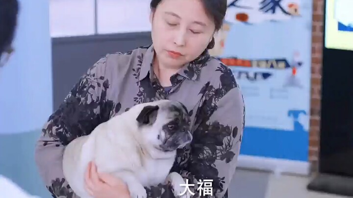 Chủ chó nhất quyết đòi an tử cho chú cún khỏe mạnh; hóa ra nguyên nhân khiến cún có hành vi kỳ lạ lạ