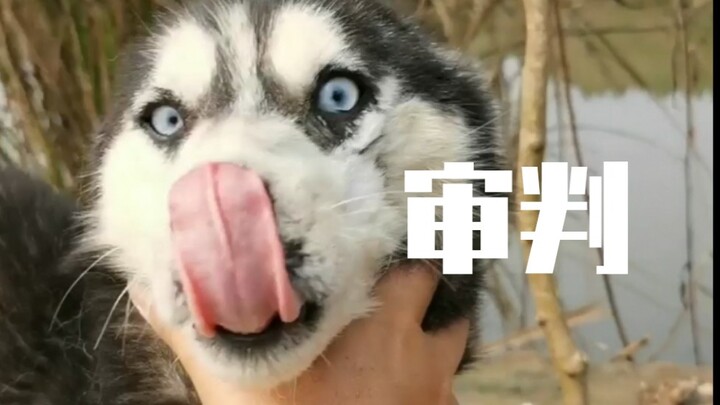 给你们看看艳红，顺便看一眼就一眼 基地。