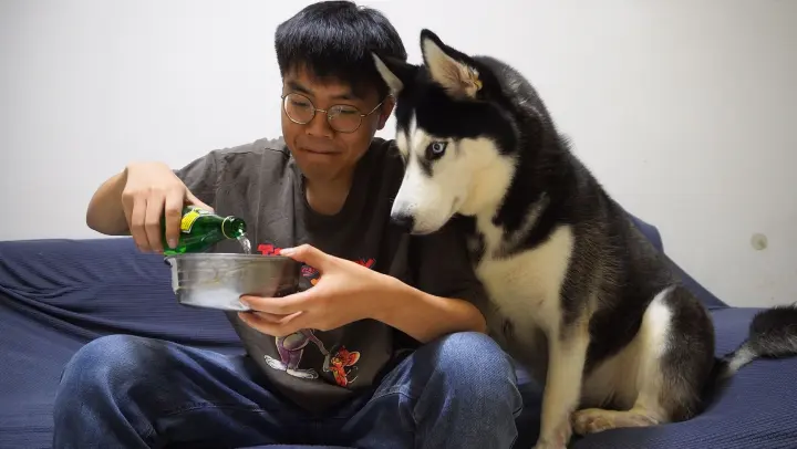 [Dog] My Husky dog tastes sparkling water for the first time