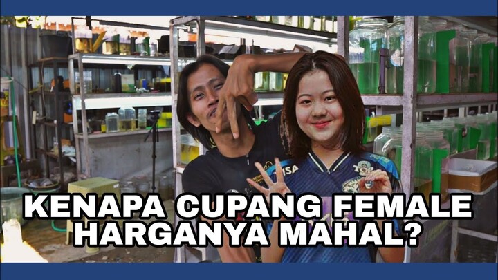 KENAPA DITAHAN ??