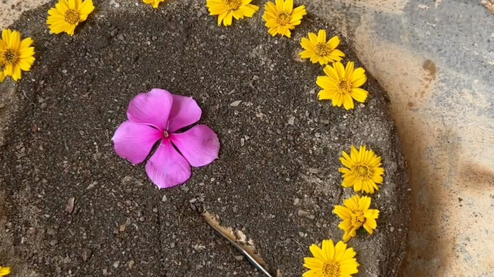 รีบแท็กเพื่อนซี้ของคุณมาทานเค้กกัน!