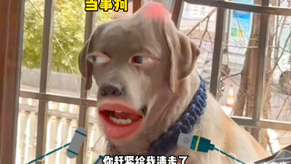 狗哥：我当时冷静的我自己都害怕