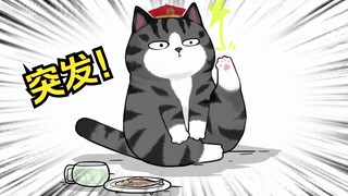 编号520号猫咪，有你的紧急来电！