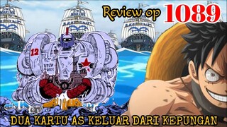 REVIEW OP 1089 - MEGA BUSTER CALL !!! | KARTU AS LEPAS DARI BARIKADE !!! | REVIEW ONE PIECE 1089