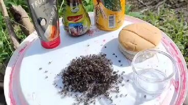 mosquito burger