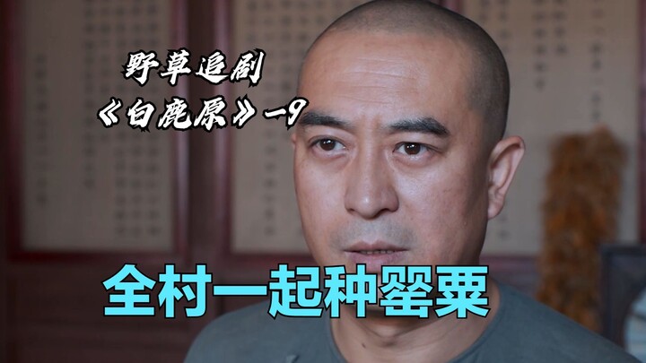 [Wild Grass] Bai Jiaxuan’s secret poppy patch gets exposed! The fragrance fills the whole village—so