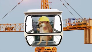 cheems opens the tower crane