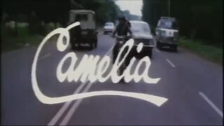 CAMELIA (rhoma irama)