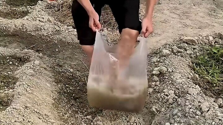 Mga Lihim na Life Hacks ni Lolo sa Bukid! 🌾😱 Mga Lumang Diskarte na Mas Praktikal Pala! #LifeHacks