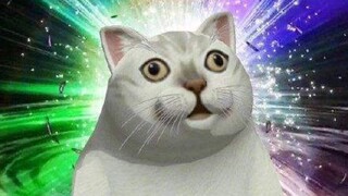 When I scanned the weird QR code~