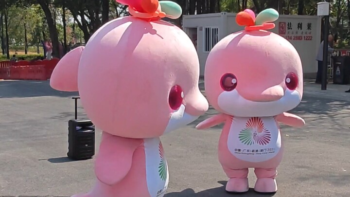 Gà gà gà gà babybaby~ Các bé gà vất vả quá, trời nóng thế này~