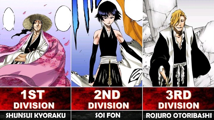 New GOTEI 13 Captains After TYBW Arc in Bleach