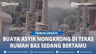 Viral Buaya Asik Nongkrong di Teras Rumah Warga Bandung Bak Sedang Bertamu, Auto Jadi Meme