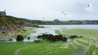 Bretagne : une terre sacrifiée