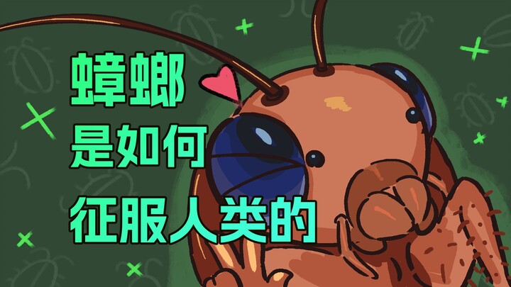 蟑螂是如何驯服人类的？？？