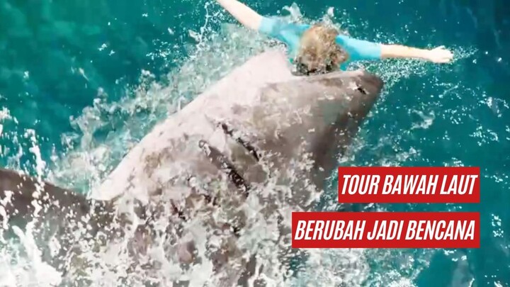 Tour Bawah Laut Berubah Jadi Bencana - 47 Meters Down Uncaged (2019)
