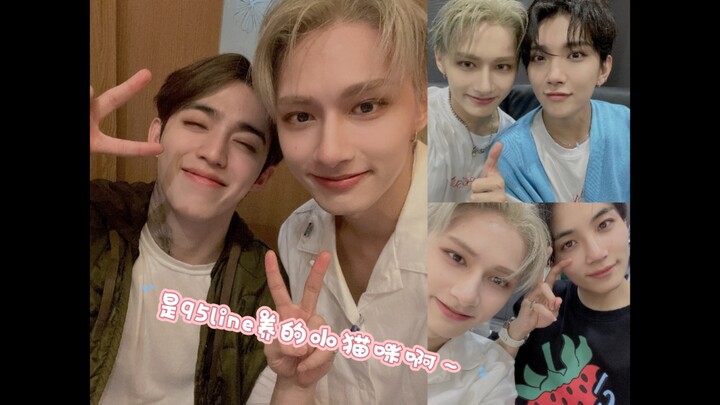 【seventeen】Jun của chúng ta❤ mà lại là chú mèo con đáng yêu do 95line nuôi nấng🐱 ấy～～❤❤