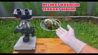 ZOOM 1000X: Tardigrada MAKHLUK TERKUAT & PALING TANGGUH DIBUMI.. Malah Nemu PLANKTON (part#1)