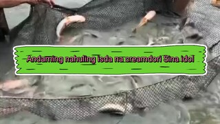 Ang Lalaking isda creamdori