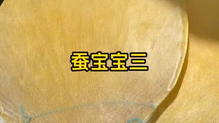 Cuộc đời của những chú tằm non