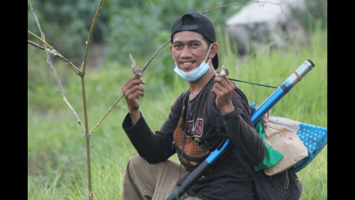 Mikat burung Pakai suara Gesekan Gabus dengan Kaca