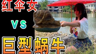 一人高的蜗牛，你们没有见过哦。