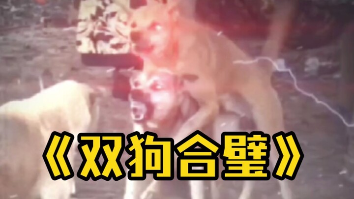 Our intentions are united.