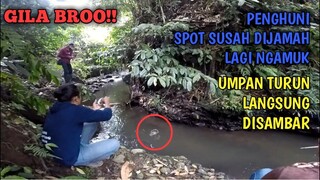 GILA BROO!! UMPAN TURUN LANGSUNG STRIKE || BEGINI NGAMUKNYA IKAN DI SPOT SUSAH DIJAMAH!!