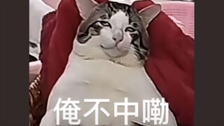 TIKTOK搞笑：俺不中嘞