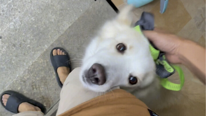 May mà chúng ta chạy nhanh.